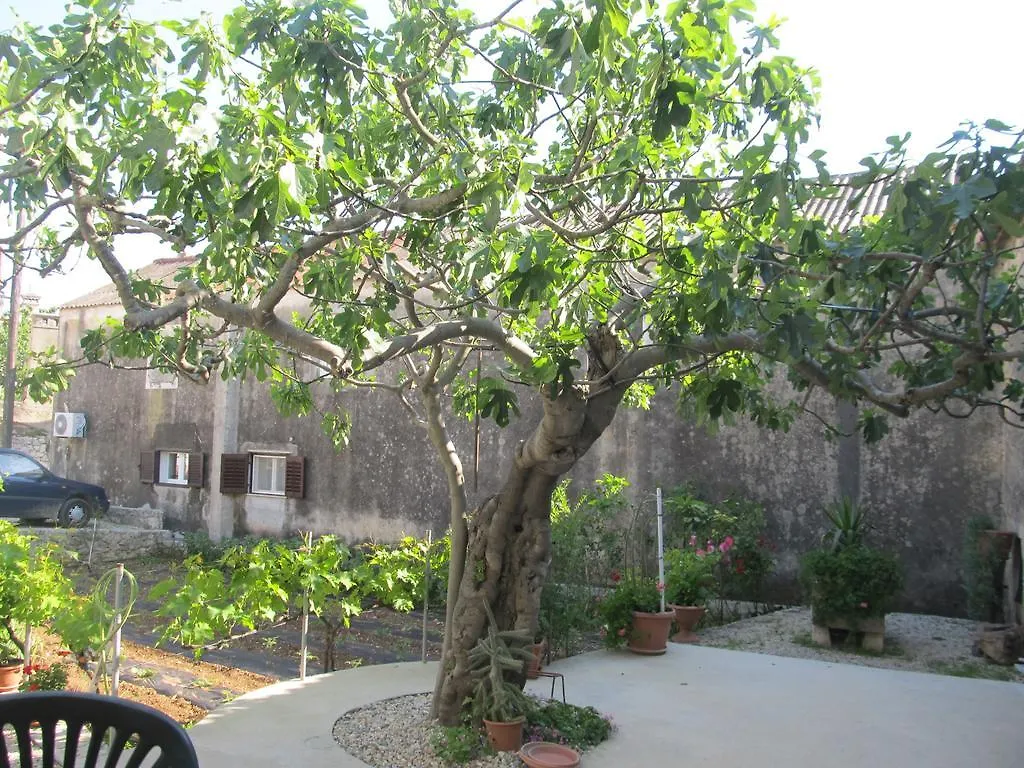 Hotel Petrcane