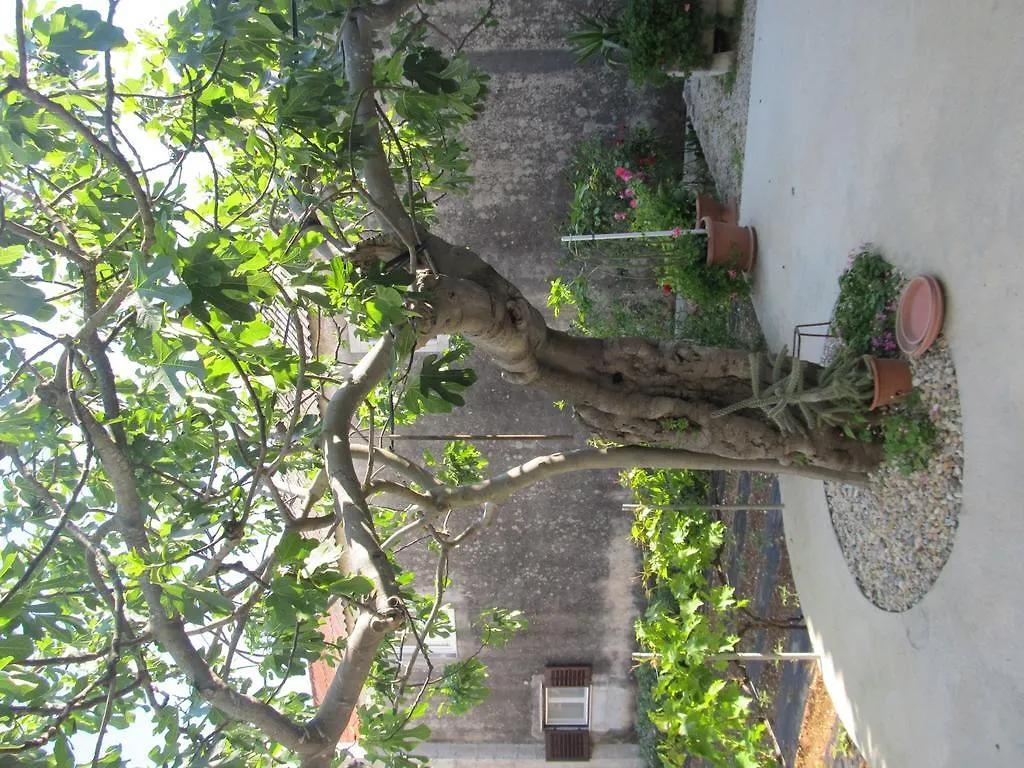 Hotel Petrcane